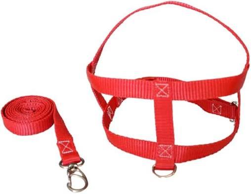 COLEIRA DE NYLON 4 PET
